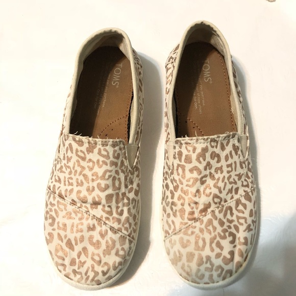 toms baby cheetah
